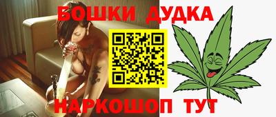 МДПВ Бийск
