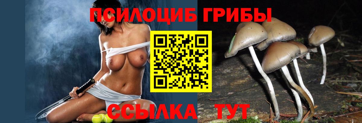 Псилоцибиновые грибы ЛСД  купить закладку  Калуга 
