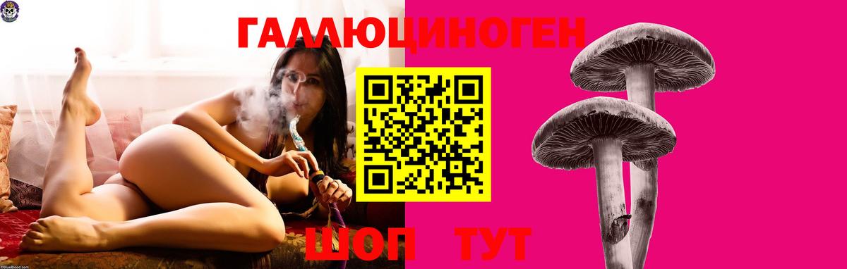 Калуга  Псилоцибиновые грибы Psilocybine cubensis  Вход с VPN 