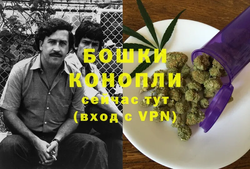 Конопля OG Kush  Калуга 